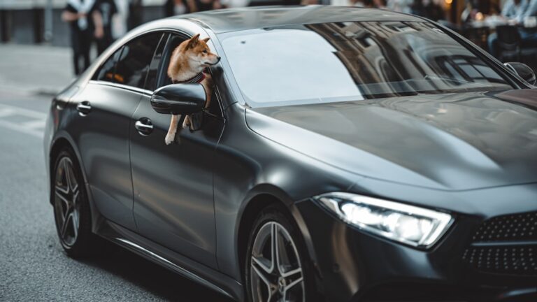 Transform Your Travel with Our Premium Rental Car Products